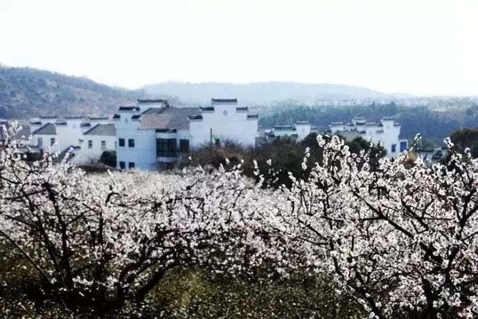 实况俱乐部